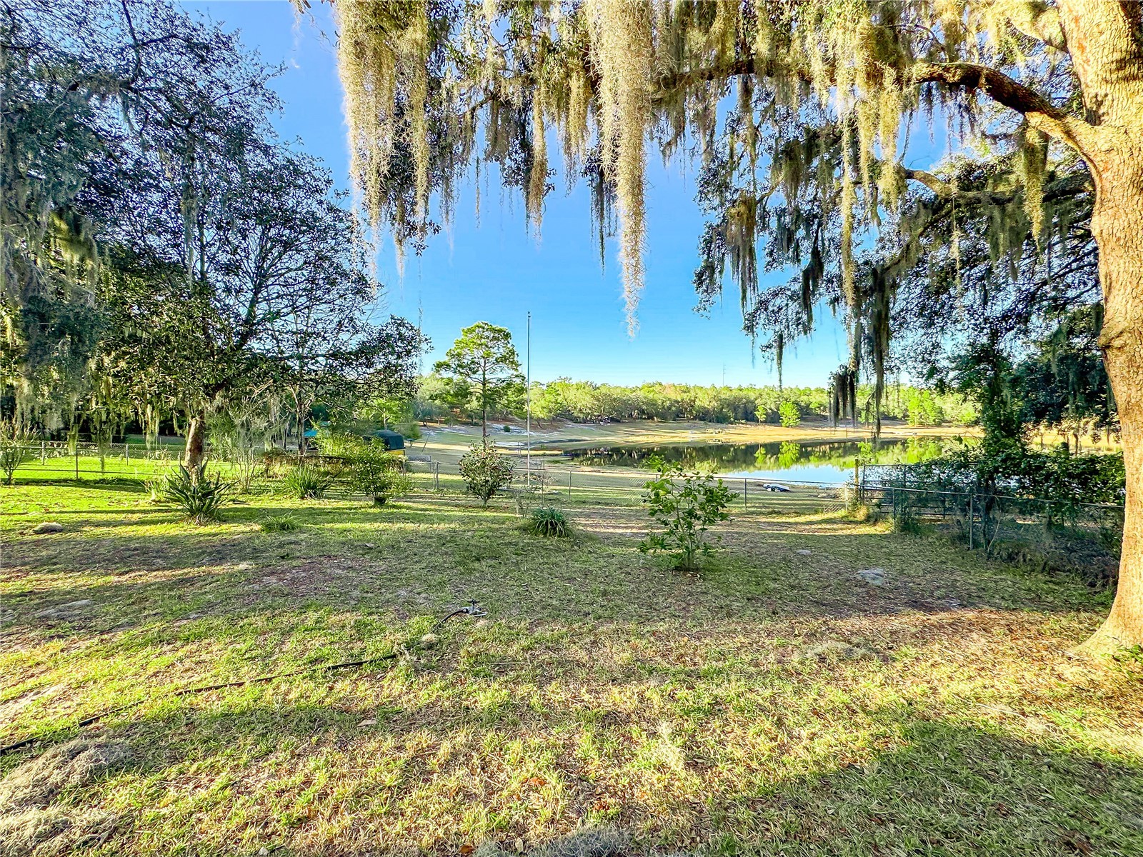 6433 Loch Lommond Drive Keystone Heights FL 32656 GC537234 image44