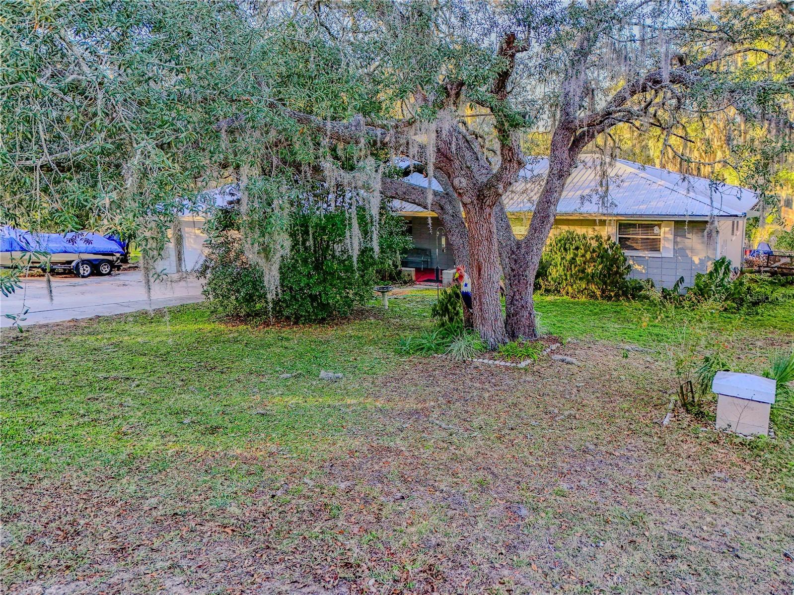 6433 Loch Lommond Drive Keystone Heights FL 32656 GC537234 image8