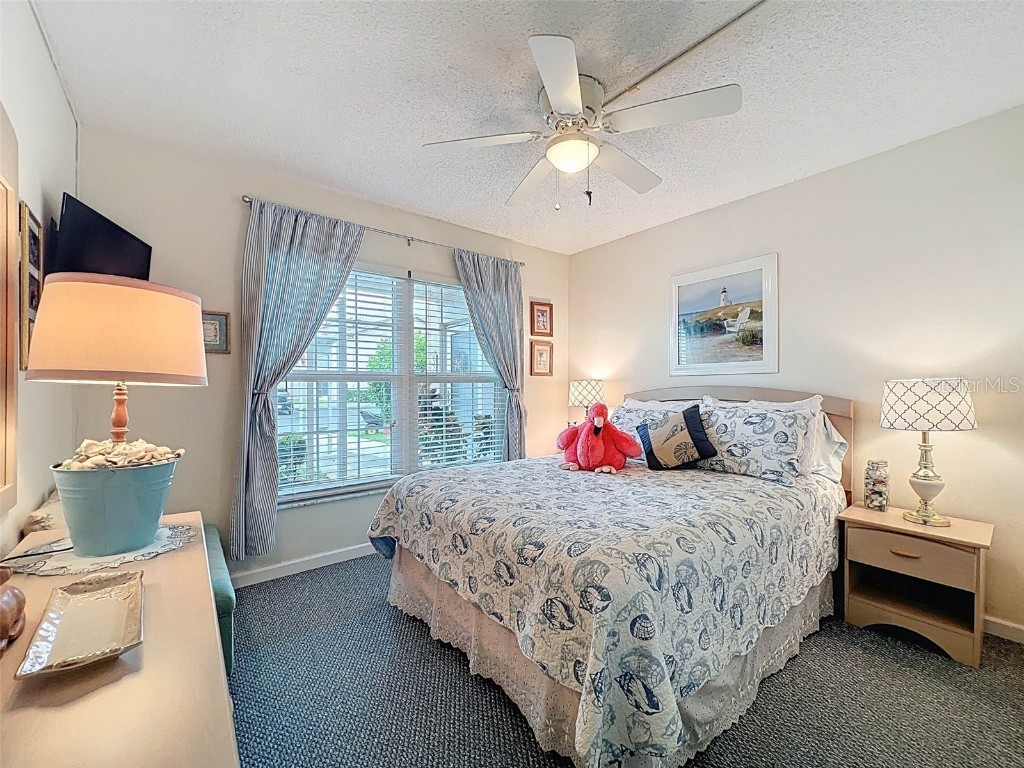 6433 Tina Drive #12 New Port Richey FL 34653 TB8435068 image10