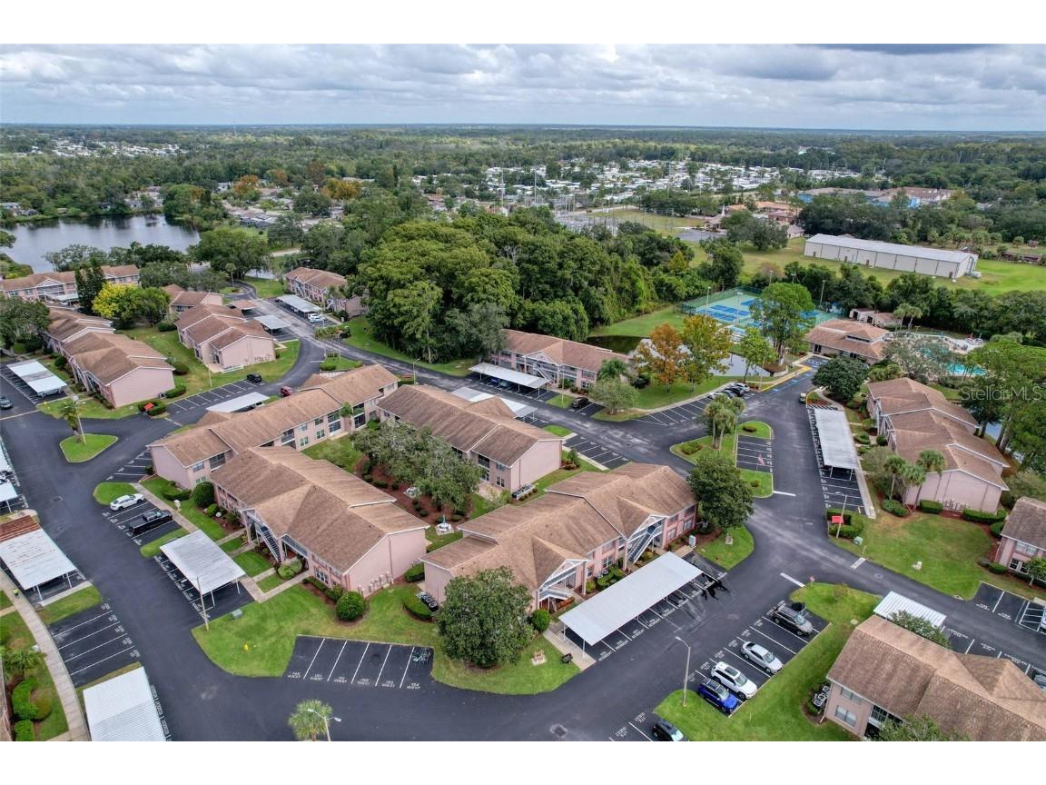 6433 Tina Drive #12 New Port Richey FL 34653 TB8435068 image17