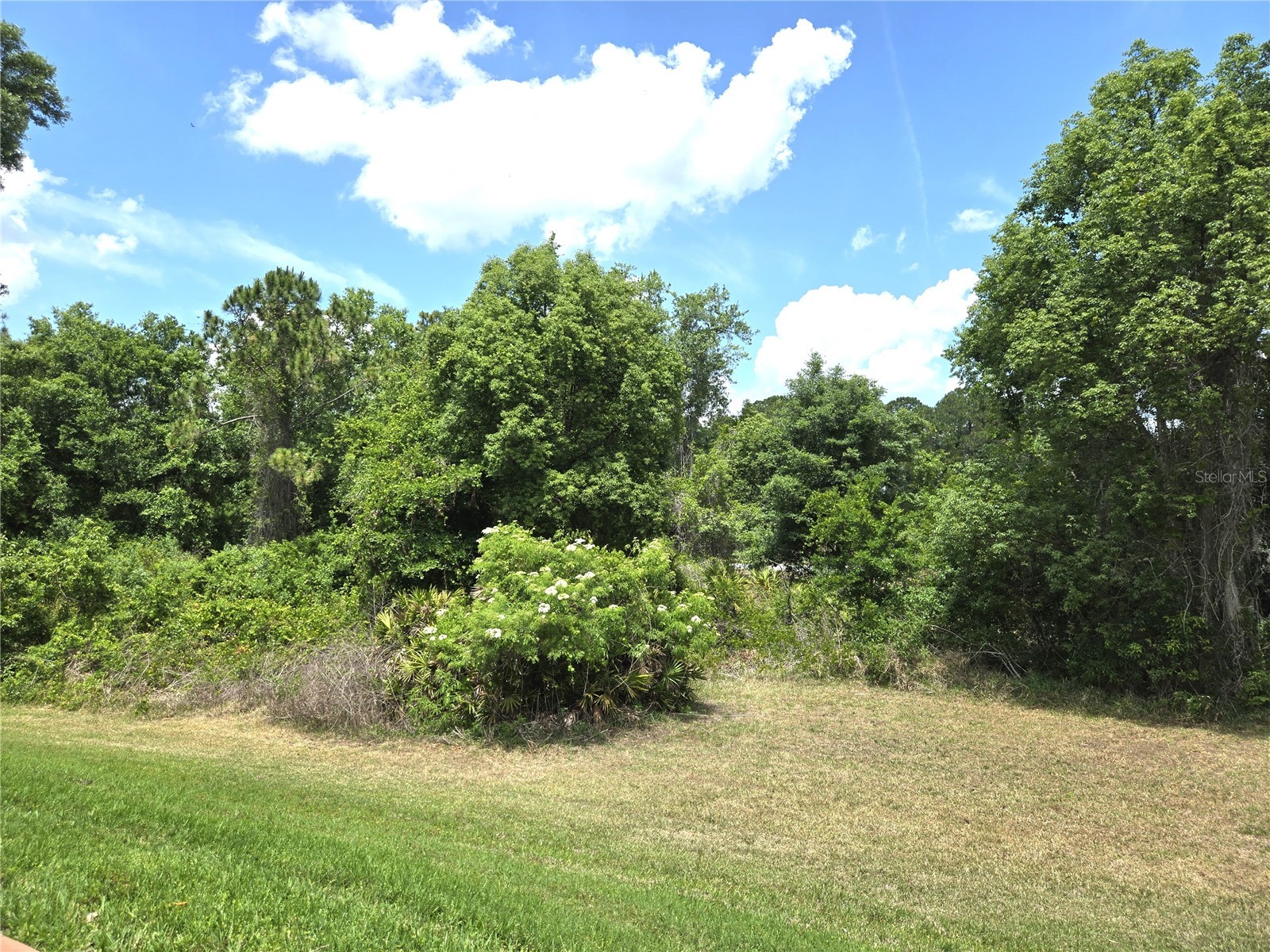 6433 Wilander Street Leesburg FL 34748 OM723910 image31