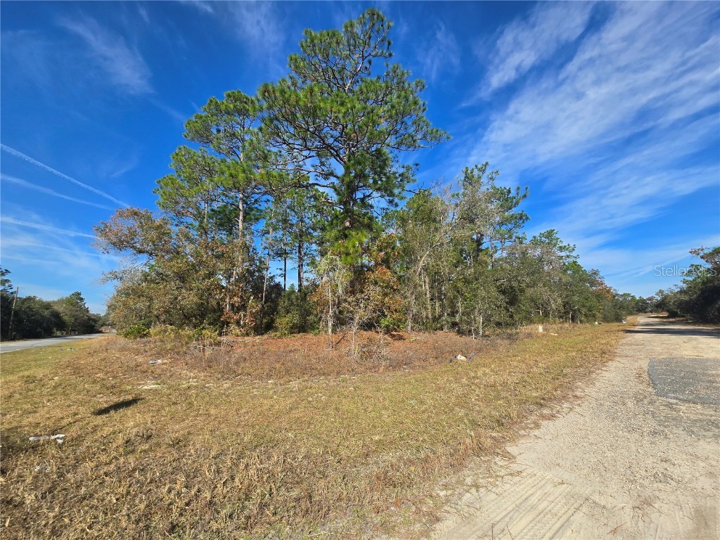 6434 N Baylor Terrace Citrus Springs FL 34433 OM713988 image11