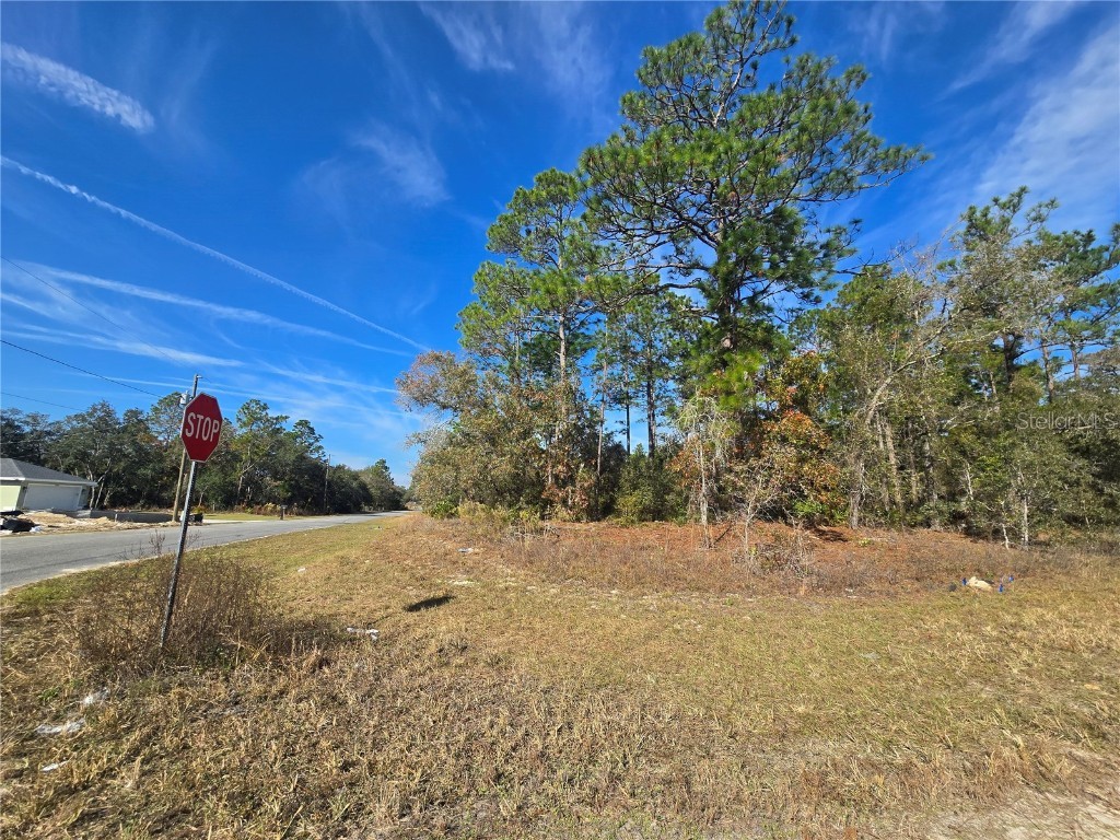 6434 N Baylor Terrace Citrus Springs FL 34433 OM713988 image2