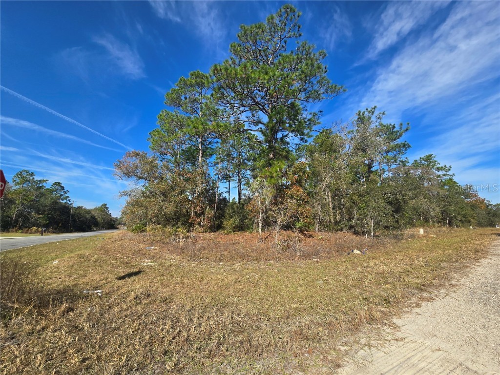 6434 N Baylor Terrace Citrus Springs FL 34433 OM713988 image3