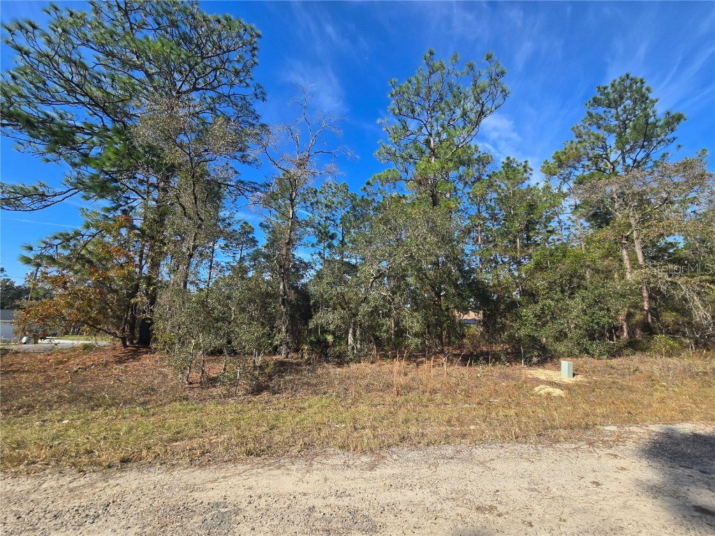 6434 N Baylor Terrace Citrus Springs FL 34433 OM713988 image4