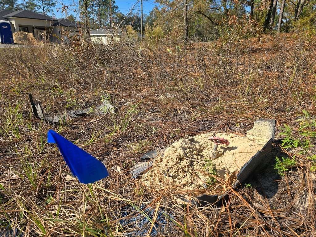 6434 N Baylor Terrace Citrus Springs FL 34433 OM713988 image5