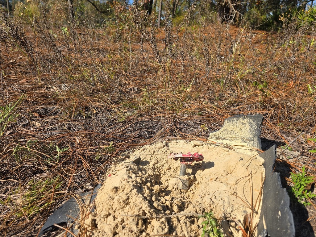 6434 N Baylor Terrace Citrus Springs FL 34433 OM713988 image6