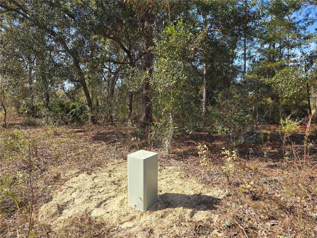 6434 N Baylor Terrace Citrus Springs FL 34433 OM713988 image7