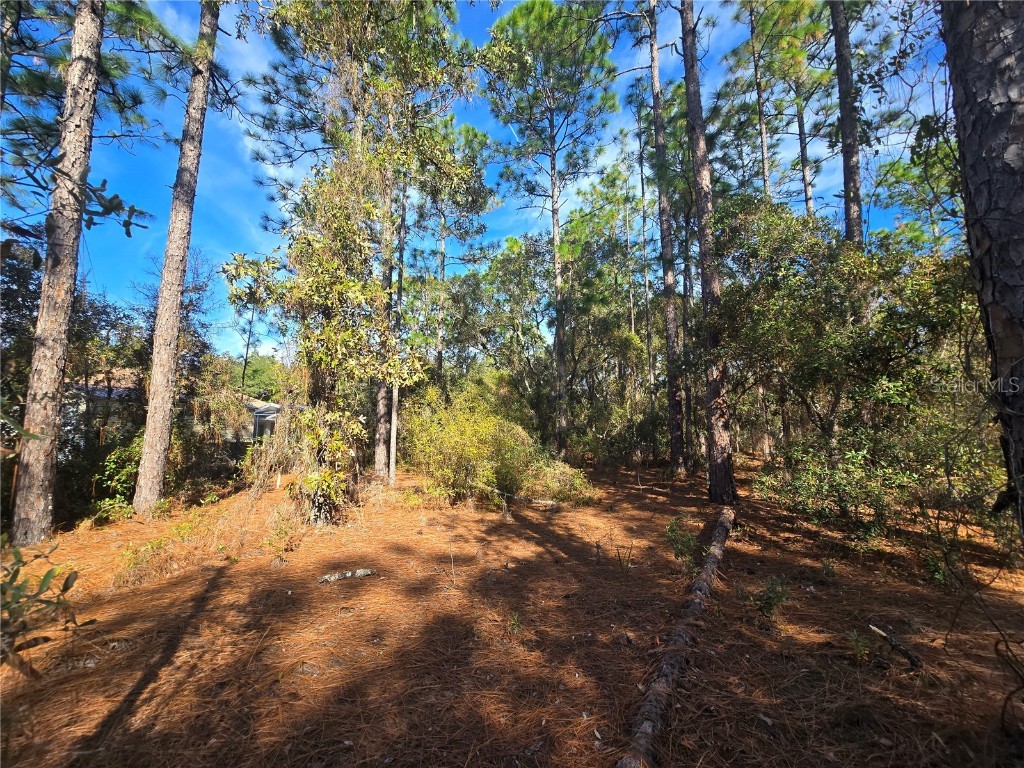 6434 N Baylor Terrace Citrus Springs FL 34433 OM713988 image8