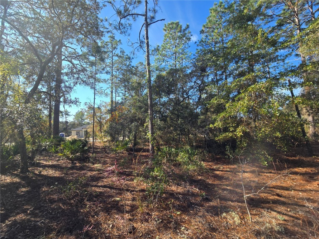 6434 N Baylor Terrace Citrus Springs FL 34433 OM713988 image9