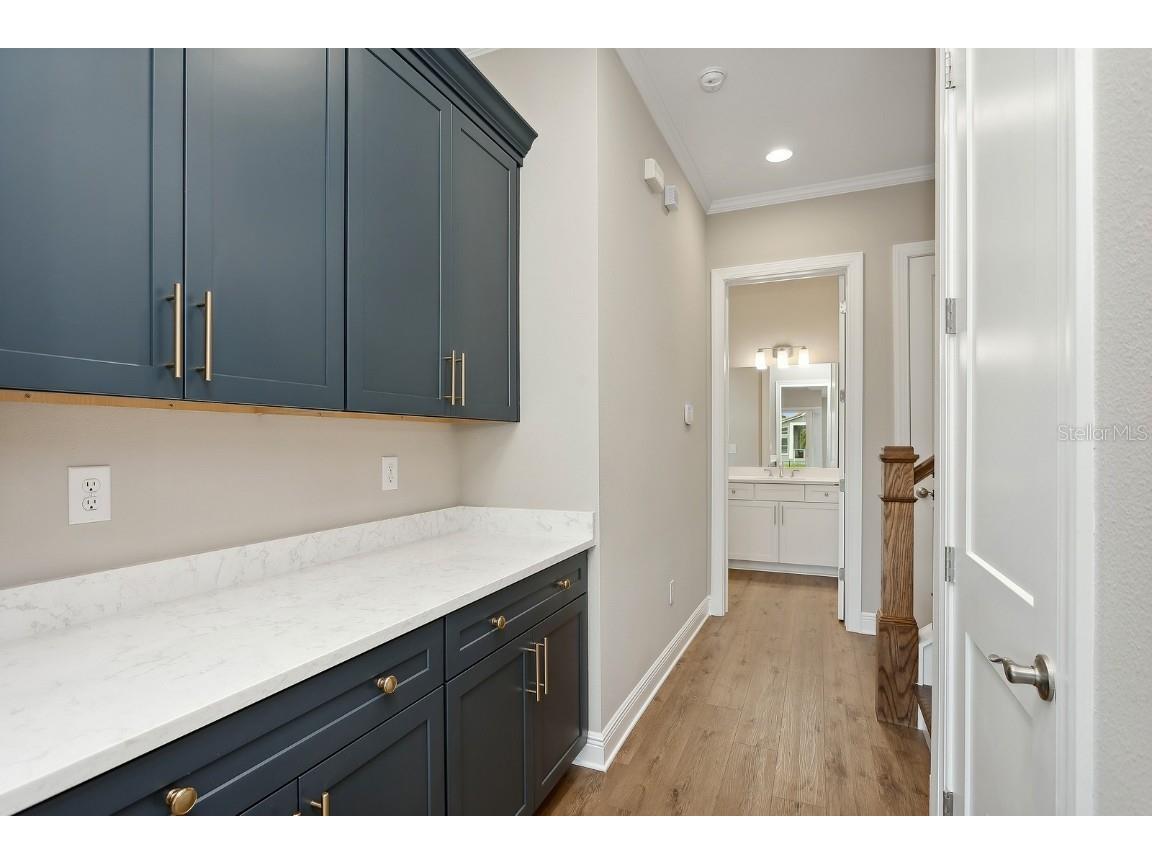 6434 Rubia Circle Apollo Beach FL 33572 T3488626 image28