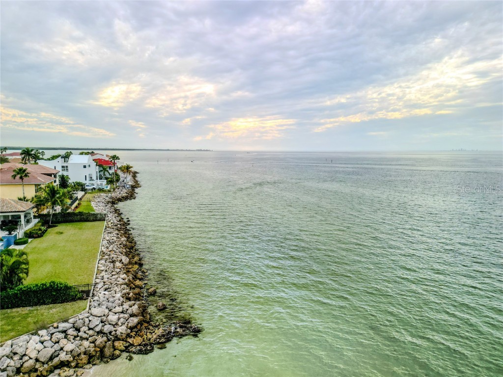 6434 Rubia Circle Apollo Beach FL 33572 T3488626 image50