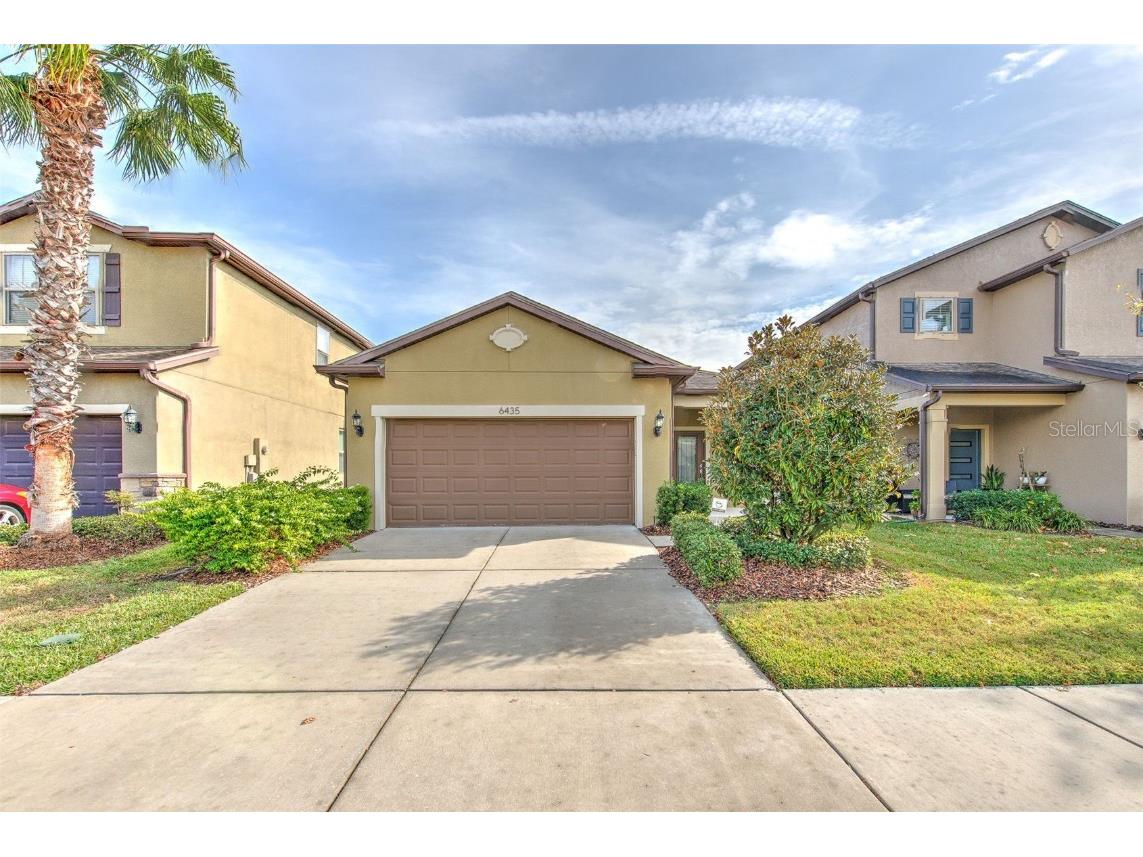 6435 Yellow Buckeye Drive Riverview FL 33578 TB8452613 image1