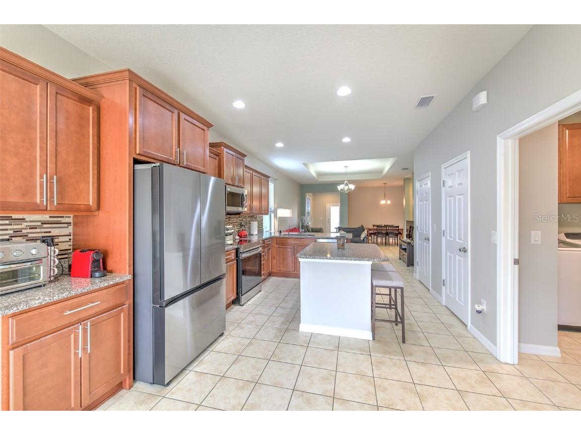 6435 Yellow Buckeye Drive Riverview FL 33578 TB8452613 image12