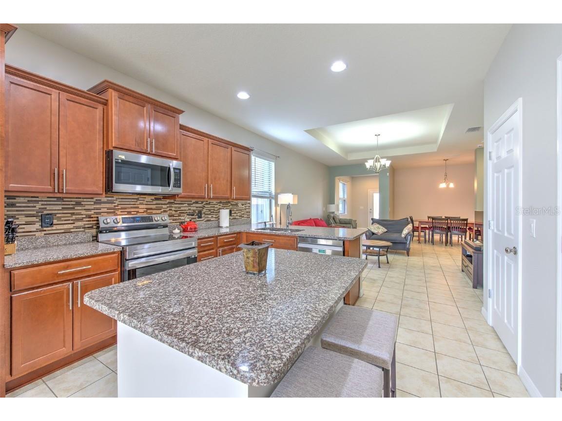6435 Yellow Buckeye Drive Riverview FL 33578 TB8452613 image13