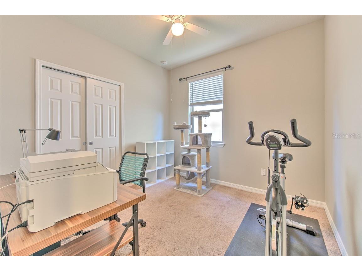 6435 Yellow Buckeye Drive Riverview FL 33578 TB8452613 image17