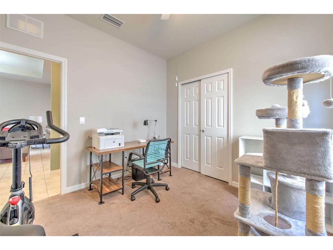 6435 Yellow Buckeye Drive Riverview FL 33578 TB8452613 image18