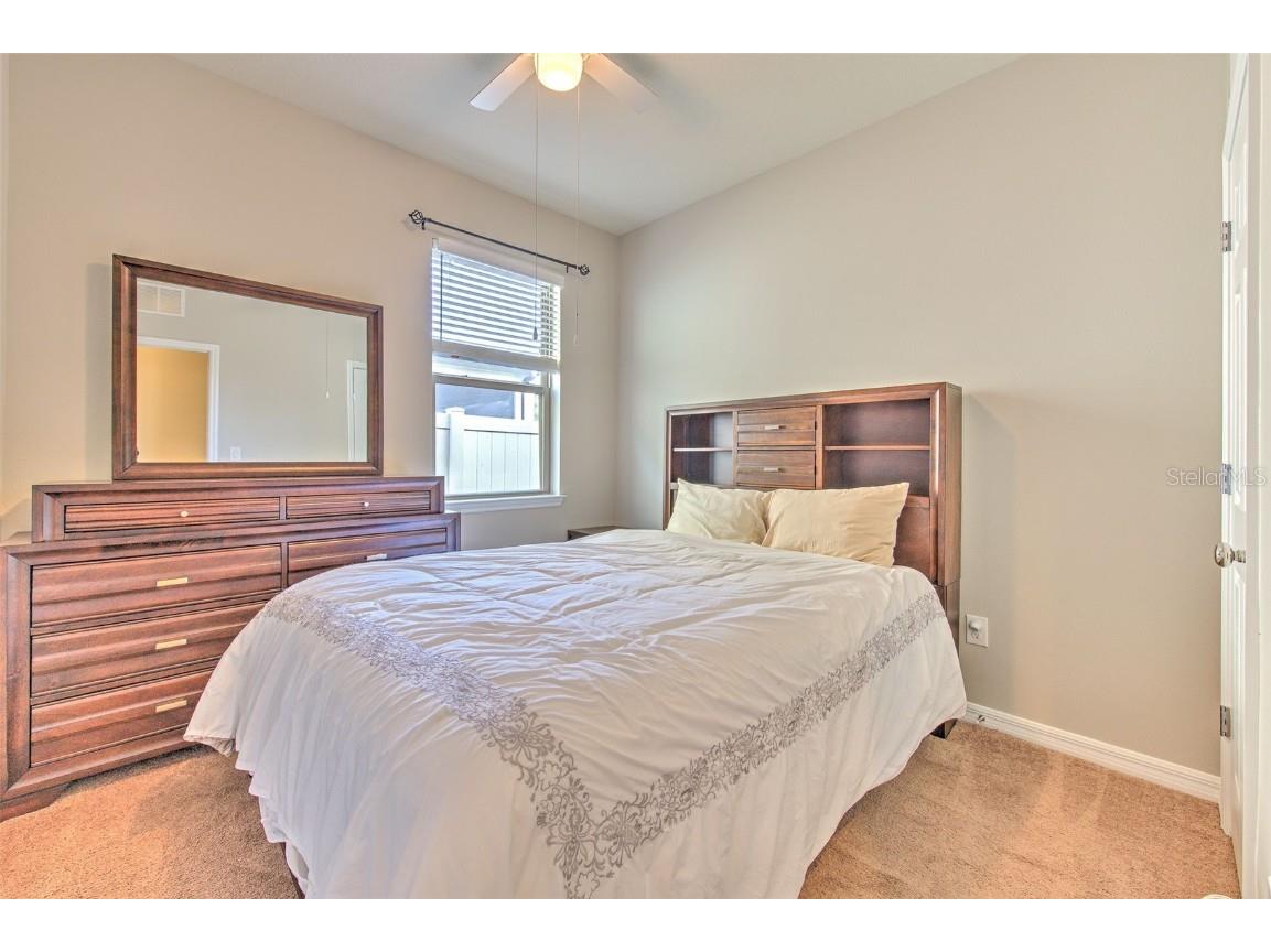 6435 Yellow Buckeye Drive Riverview FL 33578 TB8452613 image20