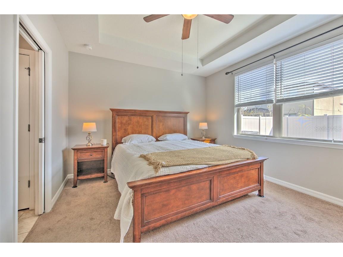 6435 Yellow Buckeye Drive Riverview FL 33578 TB8452613 image21