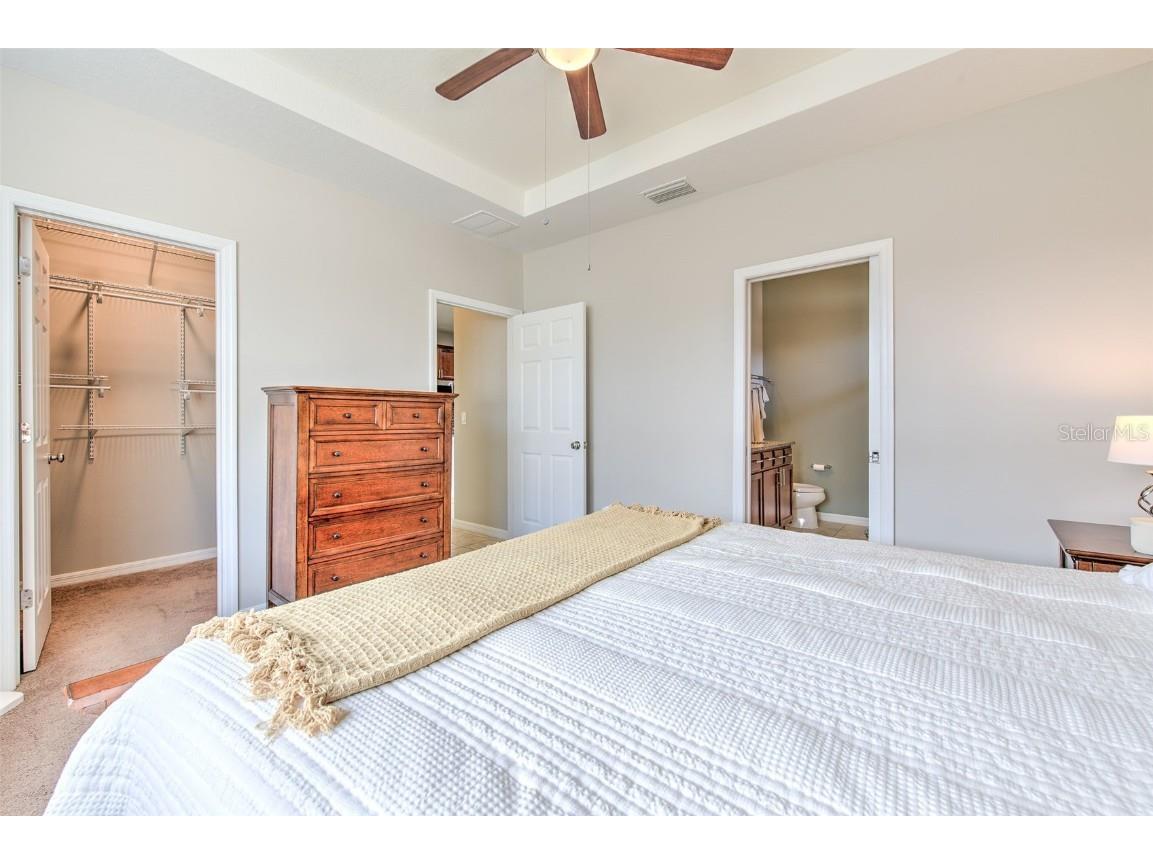 6435 Yellow Buckeye Drive Riverview FL 33578 TB8452613 image22