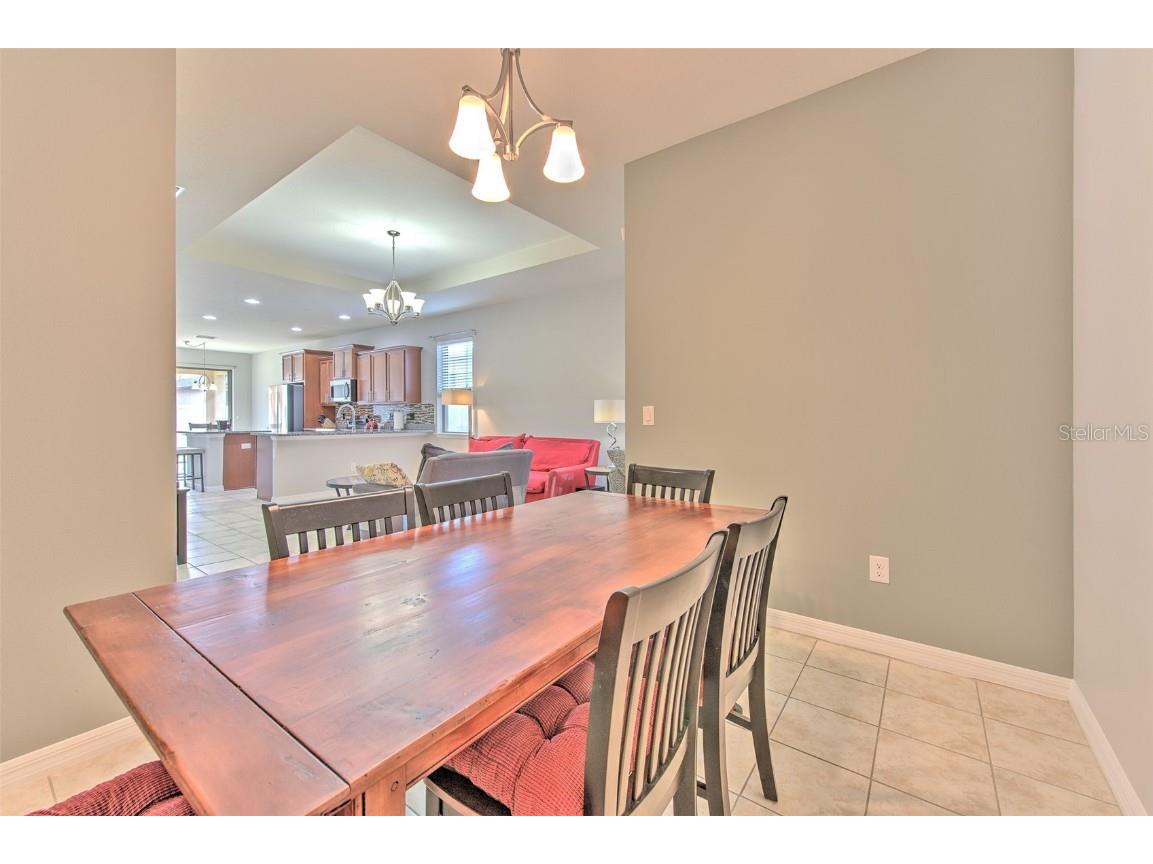 6435 Yellow Buckeye Drive Riverview FL 33578 TB8452613 image6