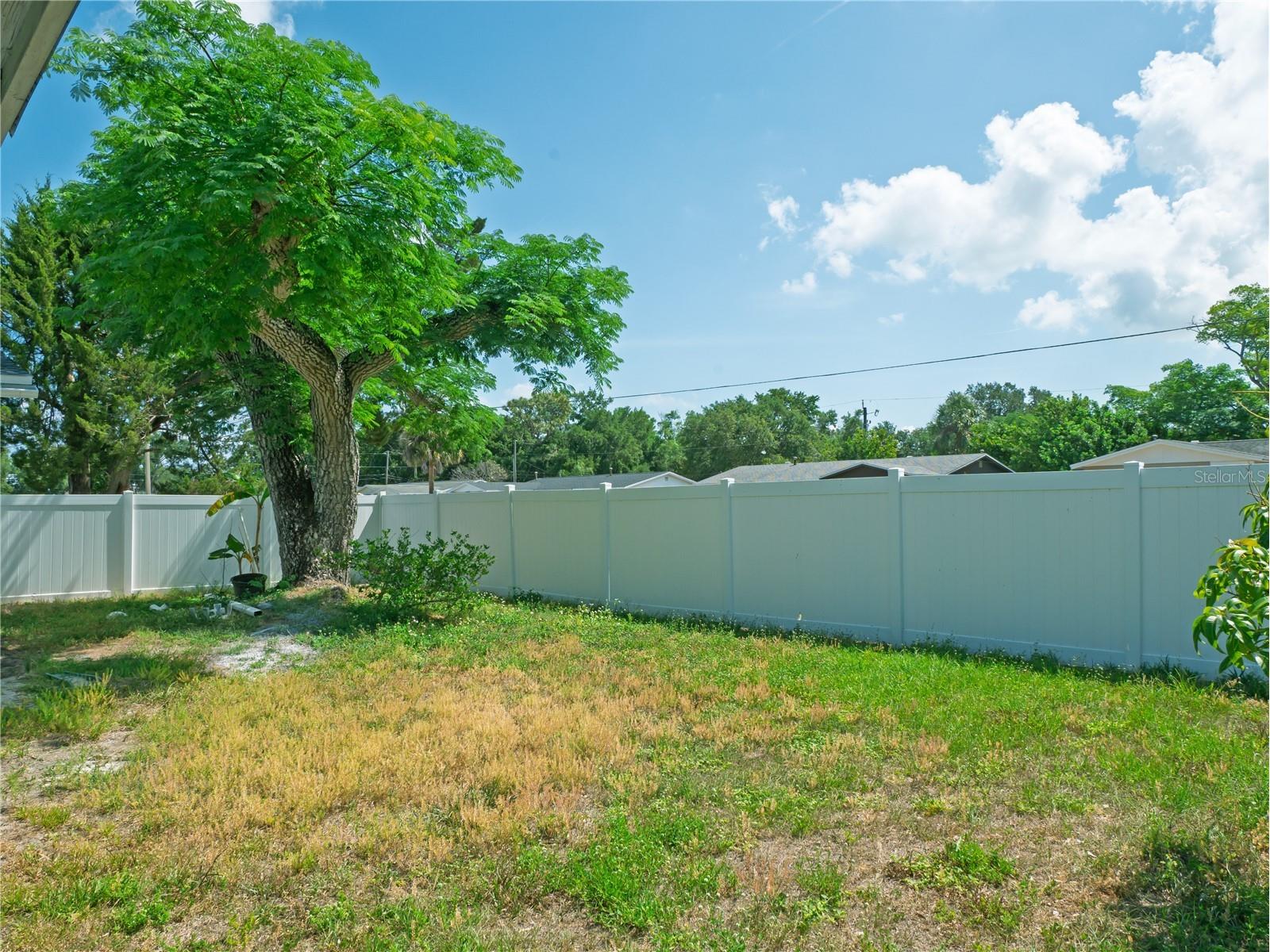 6436 Cardinal Dr Clearwater FL 33760 TB8504140 image25