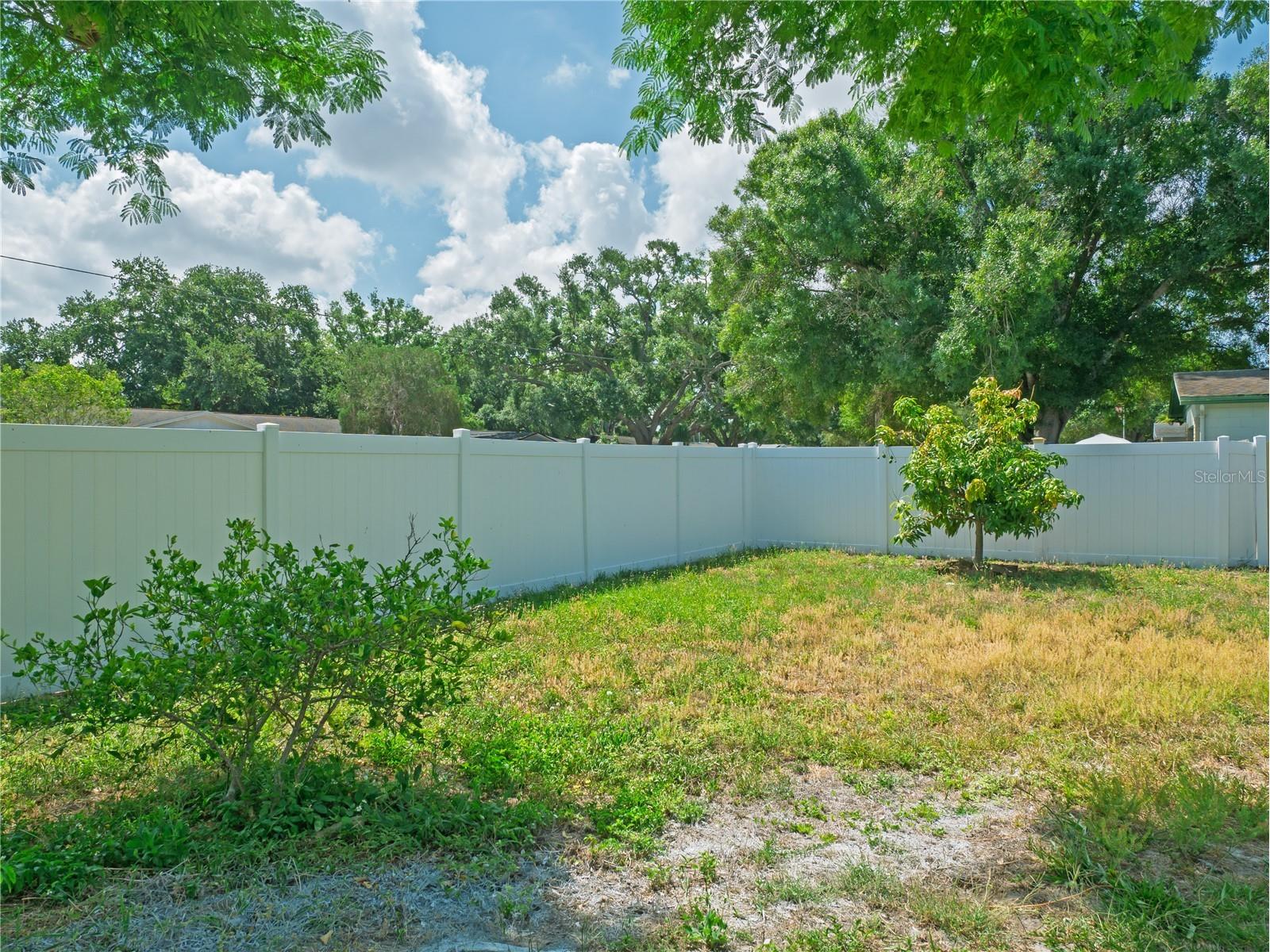 6436 Cardinal Dr Clearwater FL 33760 TB8504140 image26