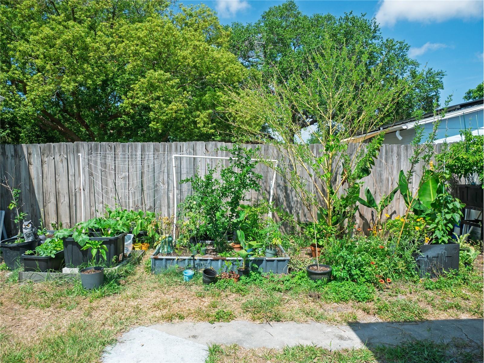 6436 Cardinal Dr Clearwater FL 33760 TB8504140 image30