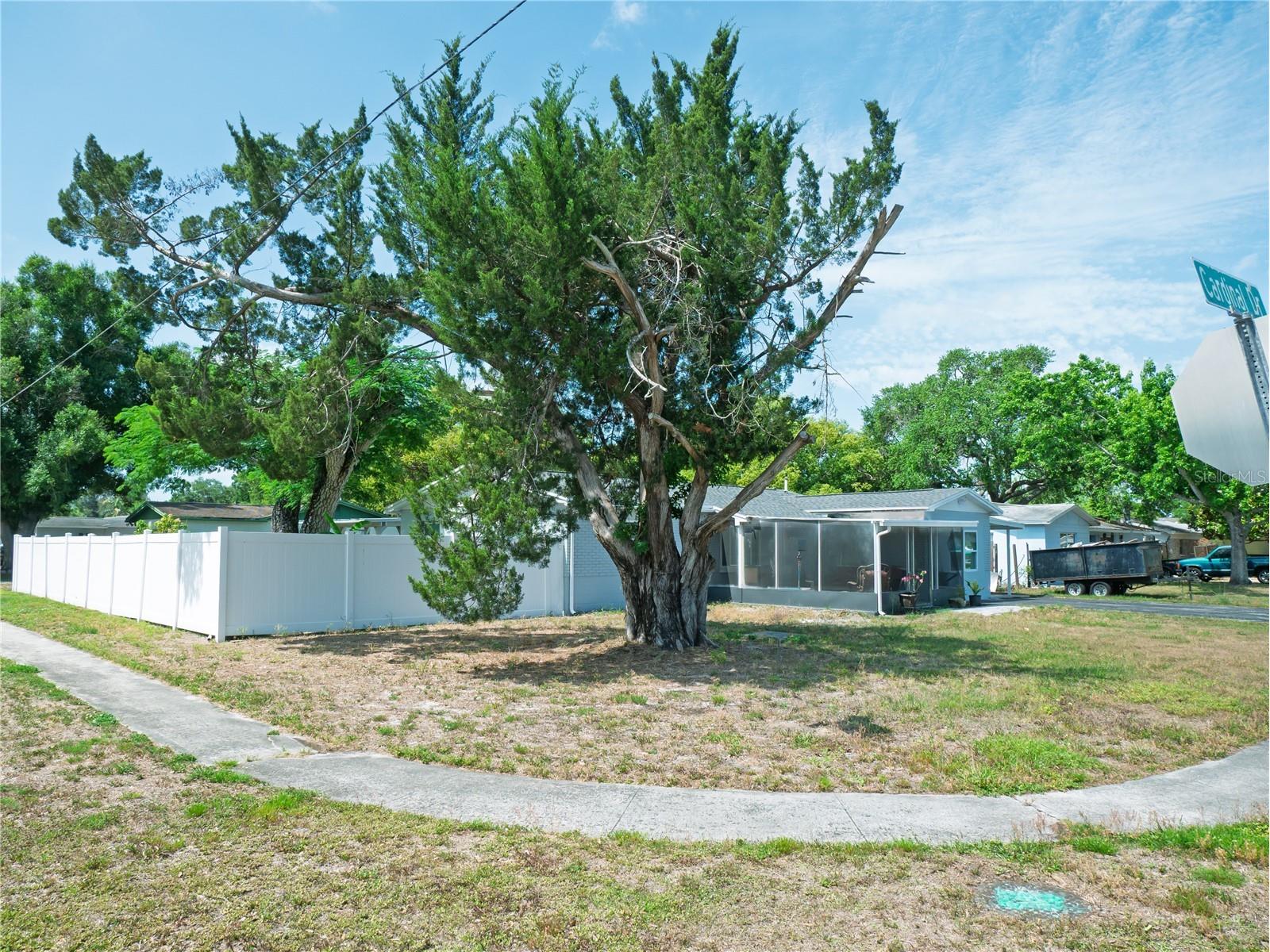 6436 Cardinal Dr Clearwater FL 33760 TB8504140 image32