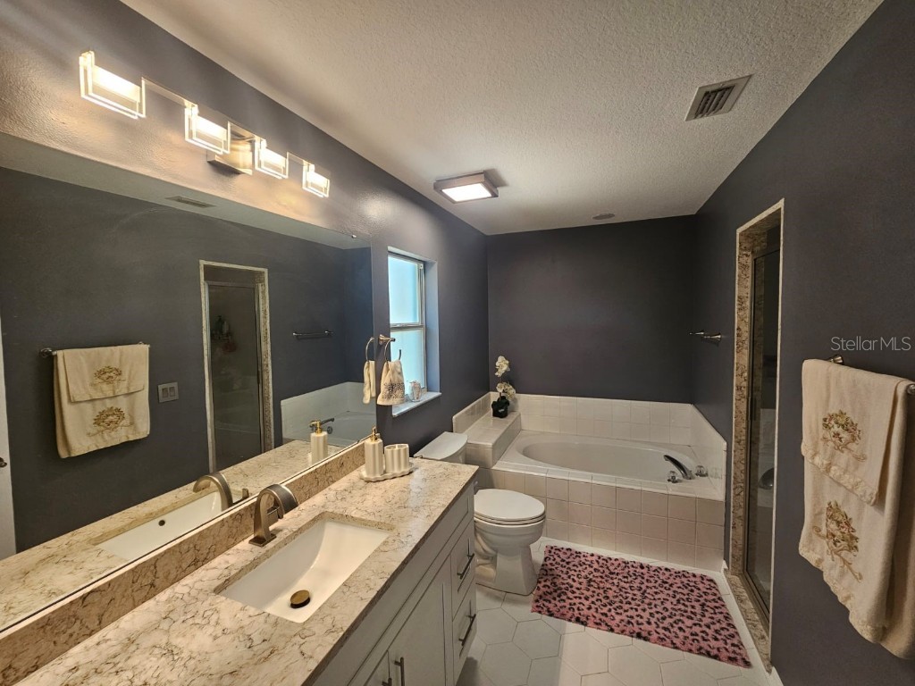 6436 Fig Leaf Street Saint Cloud FL 34771 O6309764 image11