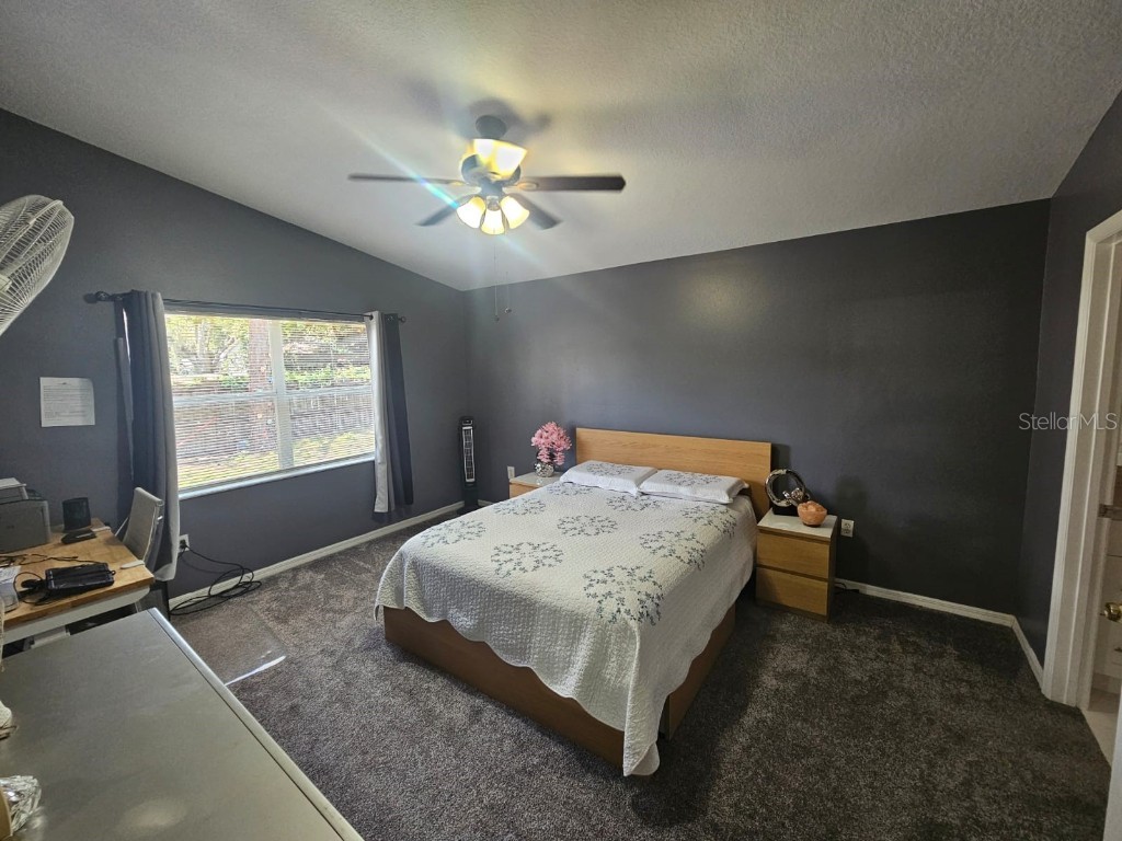 6436 Fig Leaf Street Saint Cloud FL 34771 O6309764 image12