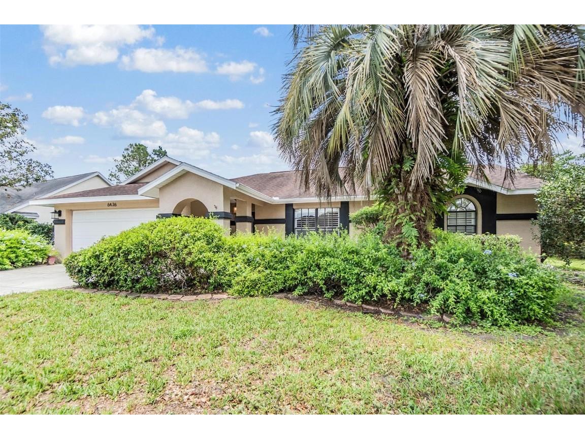 6436 Huntington Drive Zephyrhills FL 33542 TB8385638 image45