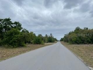 6436 Norman Street Webster FL 33597 U8207160 image1