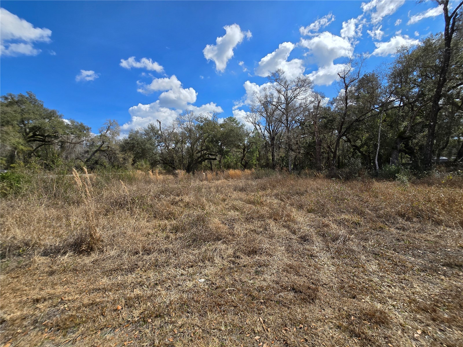 6436 Yam Street Webster FL 33597 OM719244 image10
