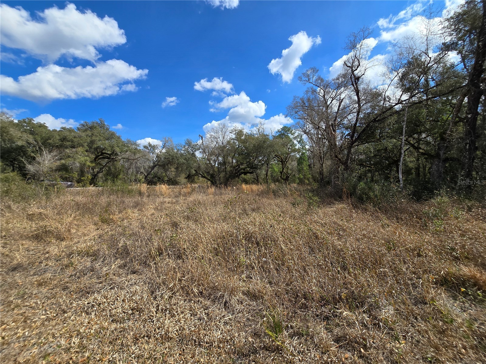 6436 Yam Street Webster FL 33597 OM719244 image11