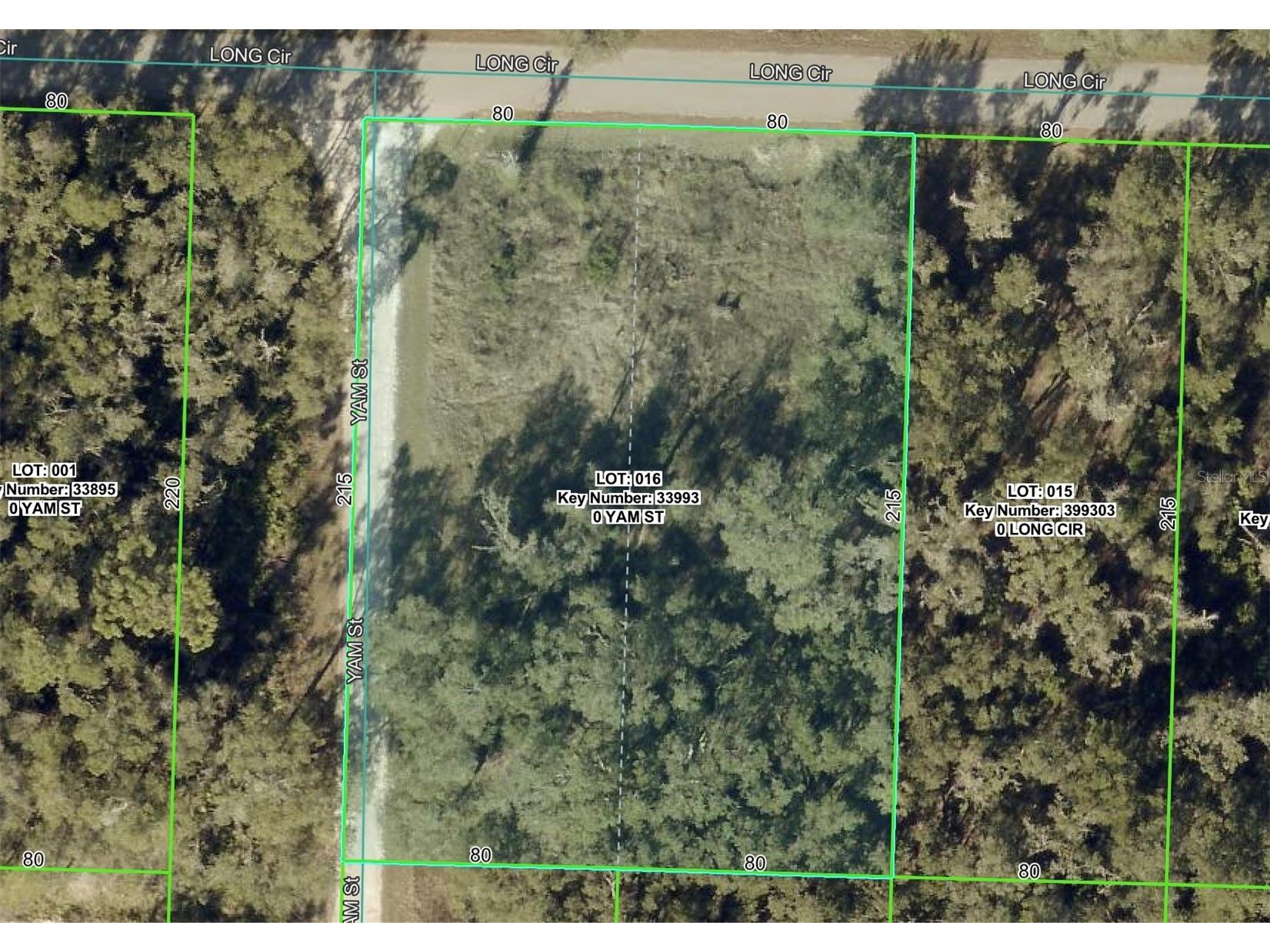 6436 Yam Street Webster FL 33597 OM719244 image14