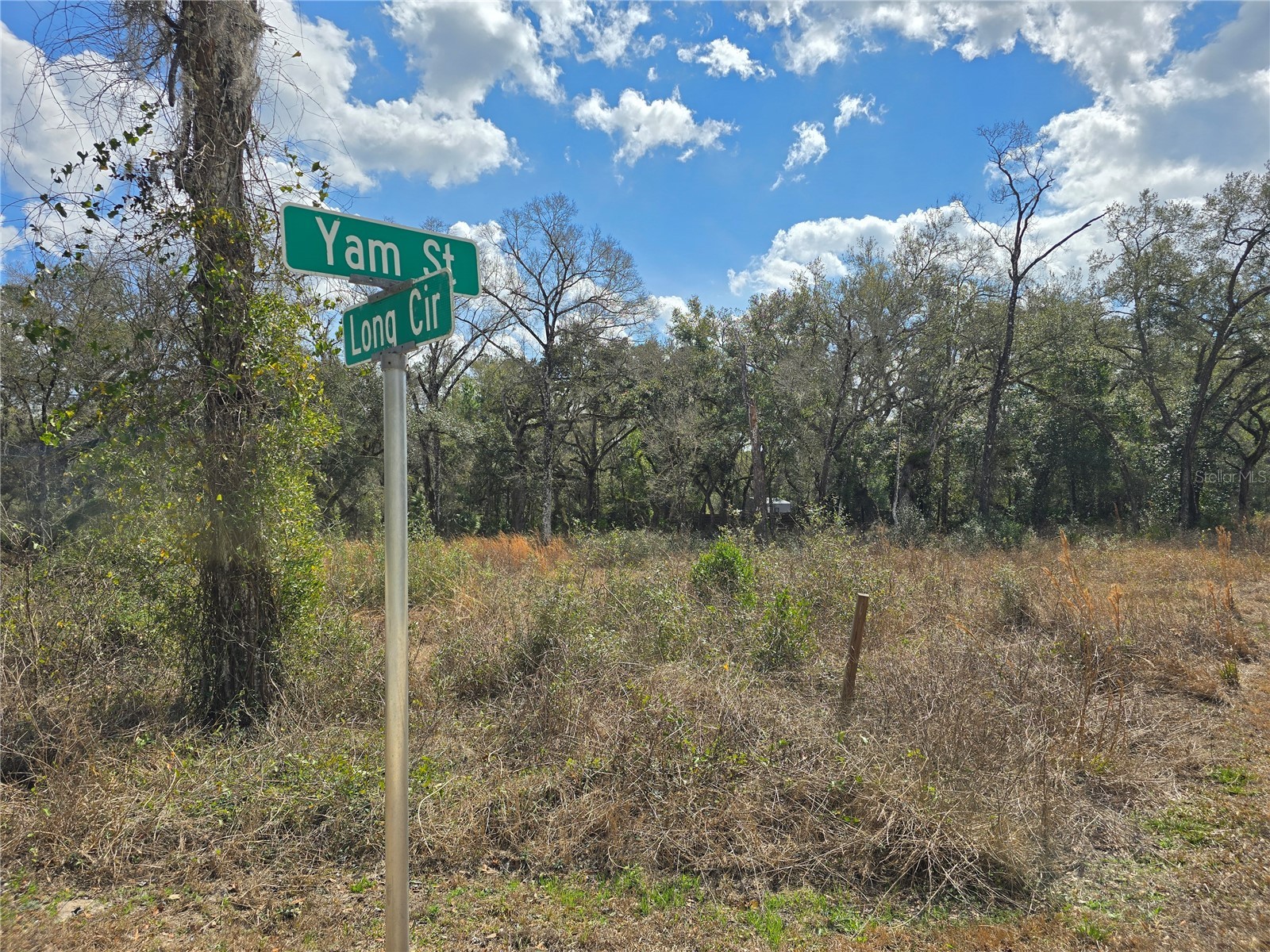 6436 Yam Street Webster FL 33597 OM719244 image2