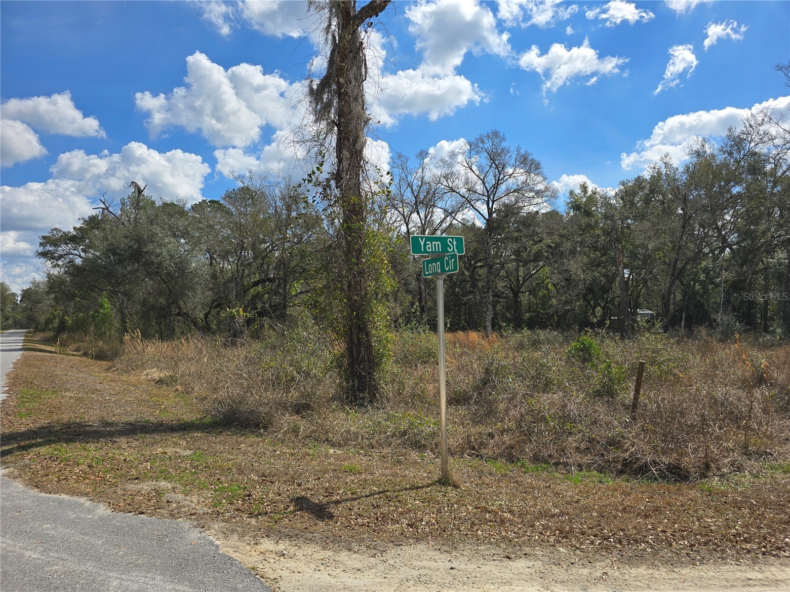 6436 Yam Street Webster FL 33597 OM719244 image3