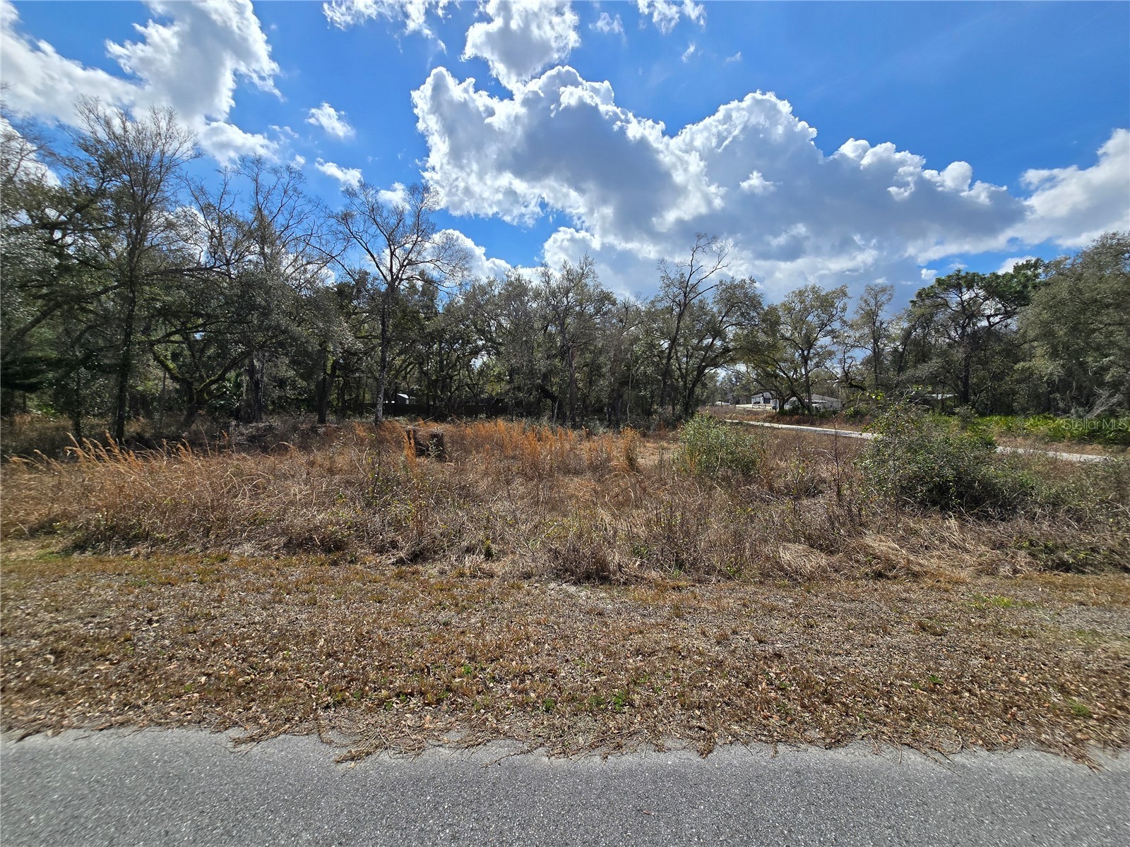 6436 Yam Street Webster FL 33597 OM719244 image4