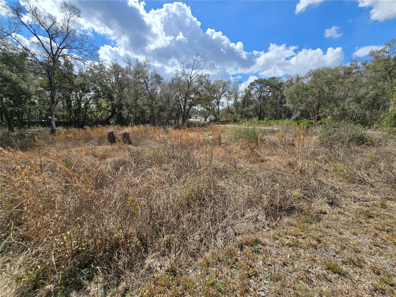 6436 Yam Street Webster FL 33597 OM719244 image5