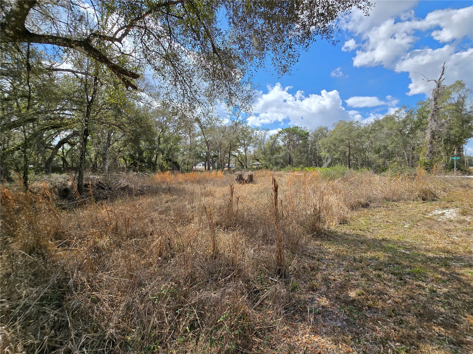 6436 Yam Street Webster FL 33597 OM719244 image7