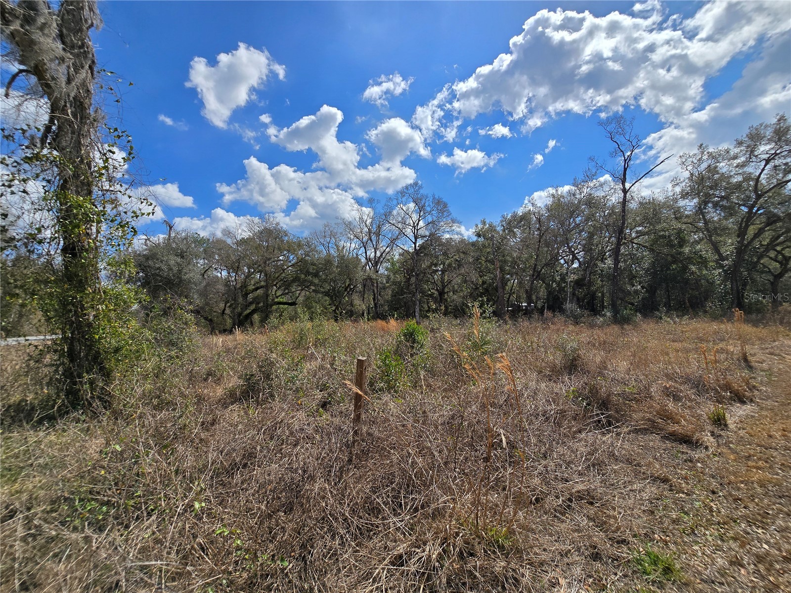6436 Yam Street Webster FL 33597 OM719244 image8