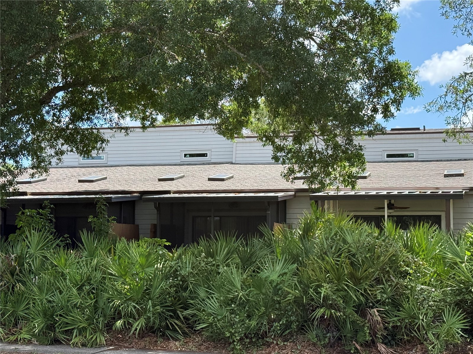 6437 93rd Terrace N #5003 Pinellas Park FL 33782 TB8496406 image33