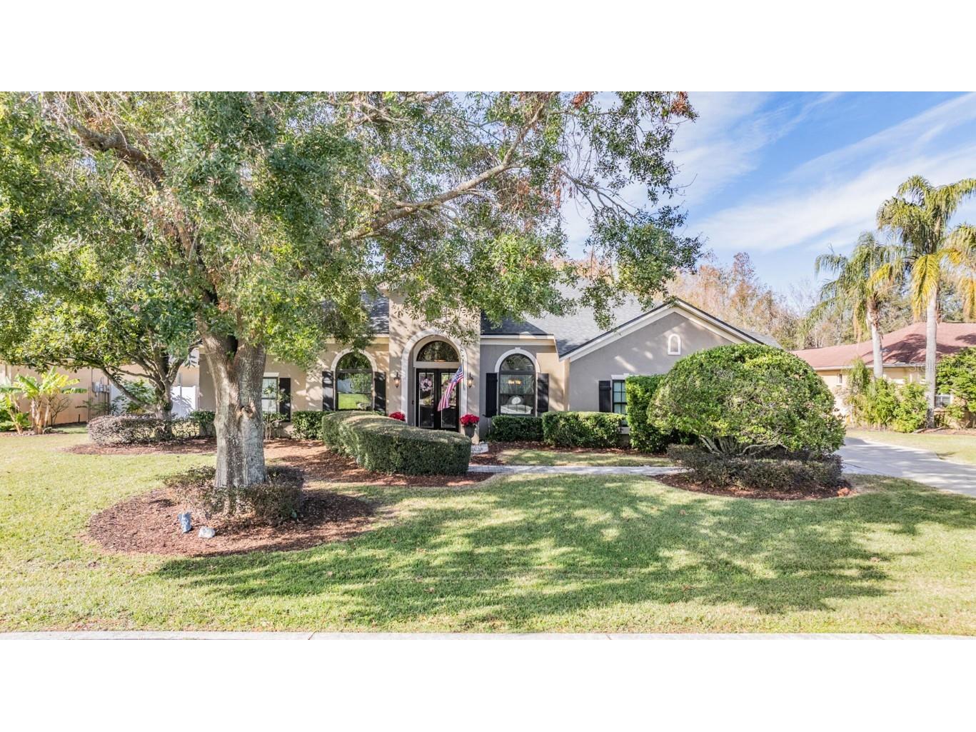 6437 Alcester Drive New Port Richey FL 34655 O6270365 image1