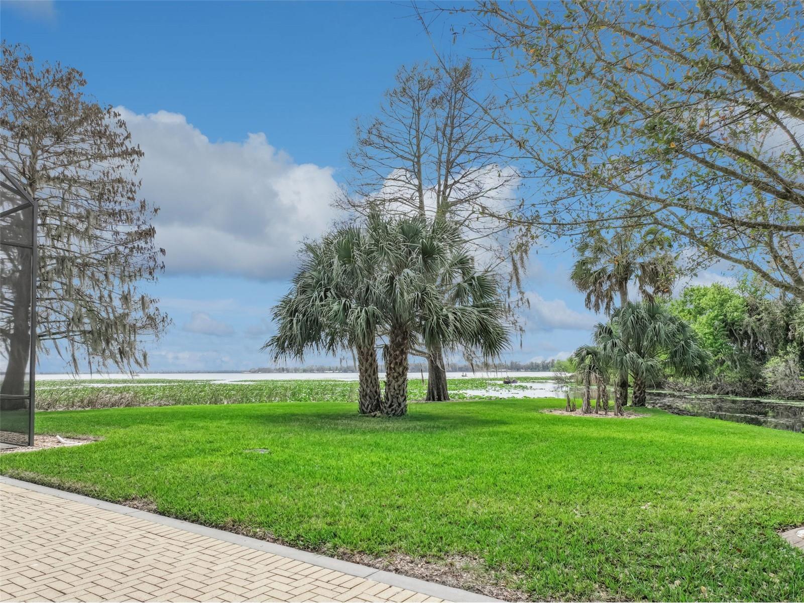6437 Cherry Pocket Lane Lake Wales FL 33898 - LAKE PIERCE P4938056 image44