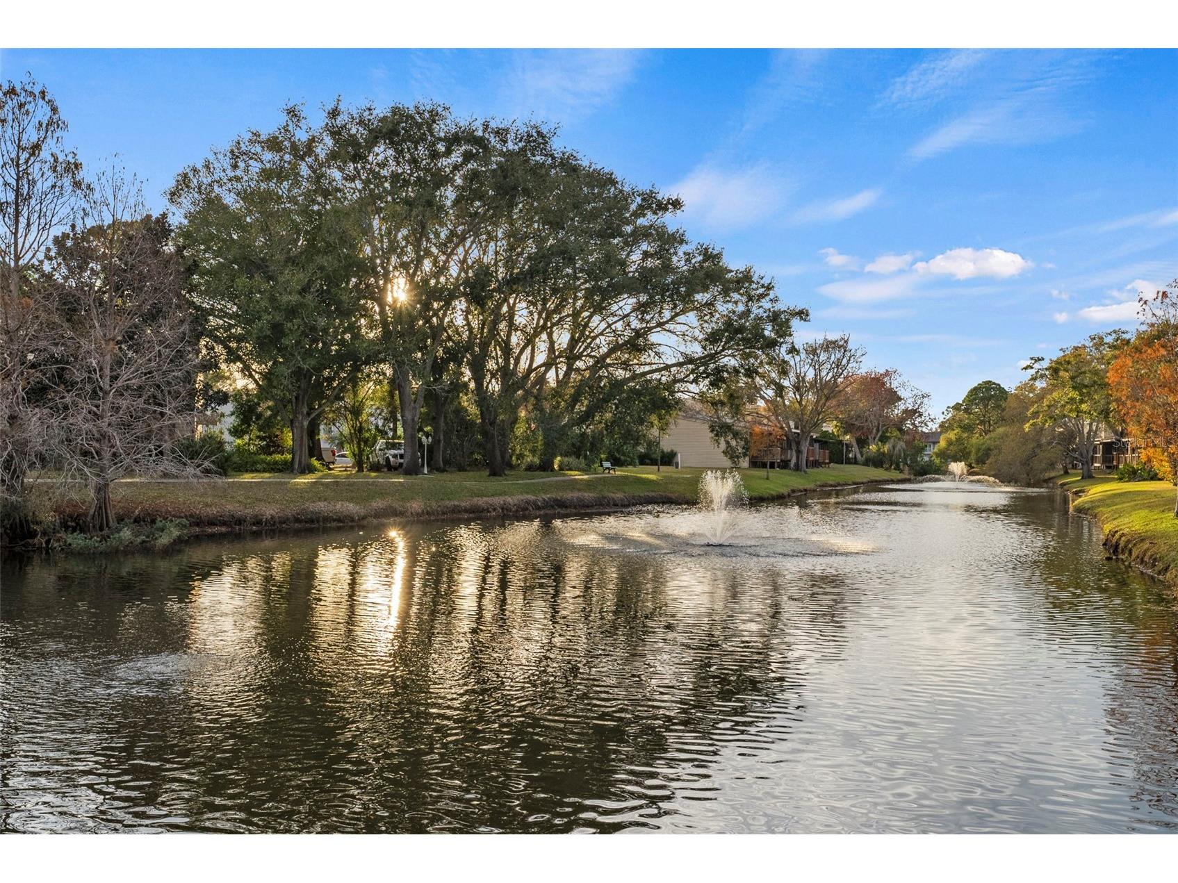 6438 93rd Terrace N #603 Pinellas Park FL 33782 TB8465495 image47