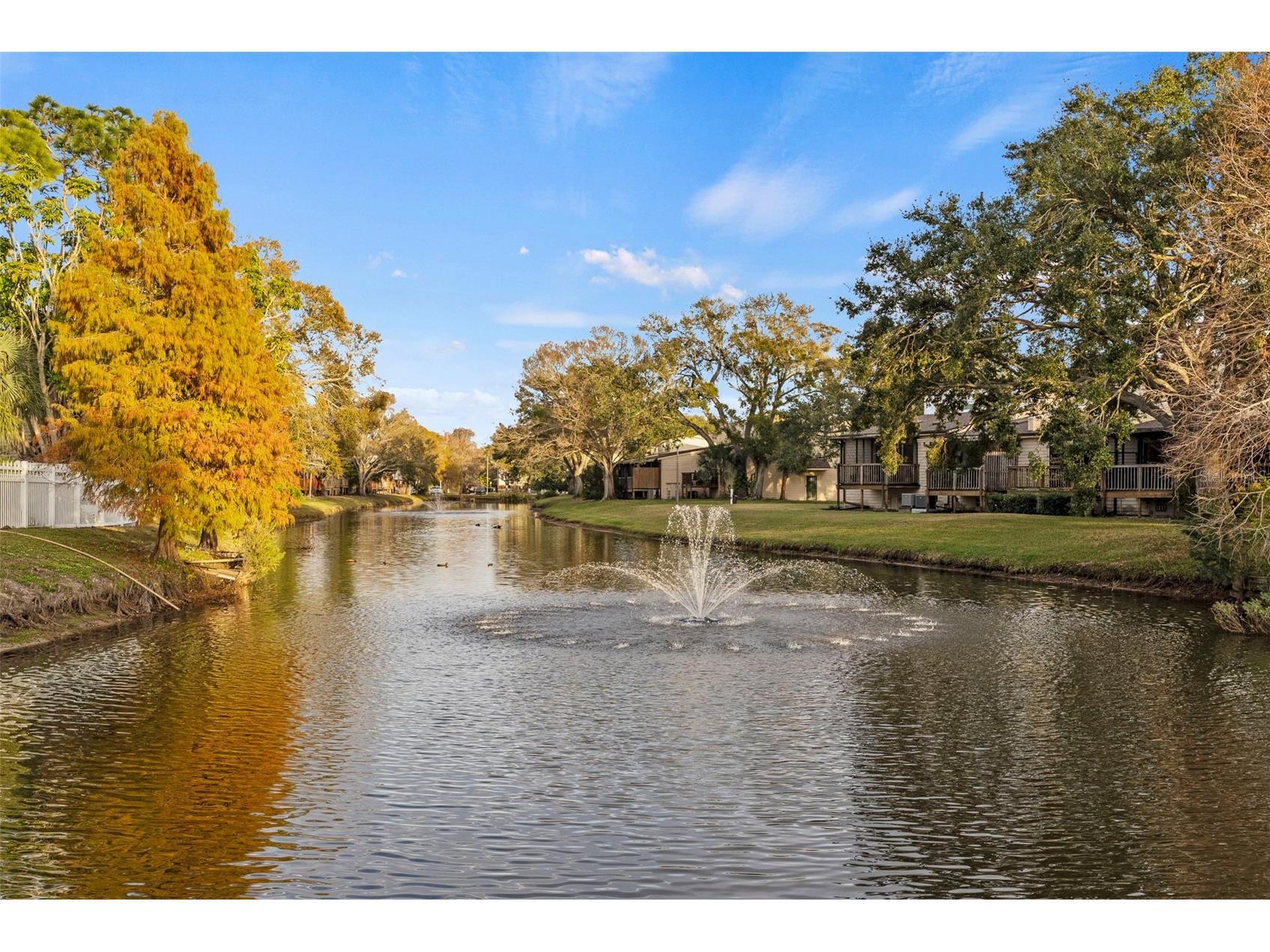 6438 93rd Terrace N #603 Pinellas Park FL 33782 TB8465495 image48