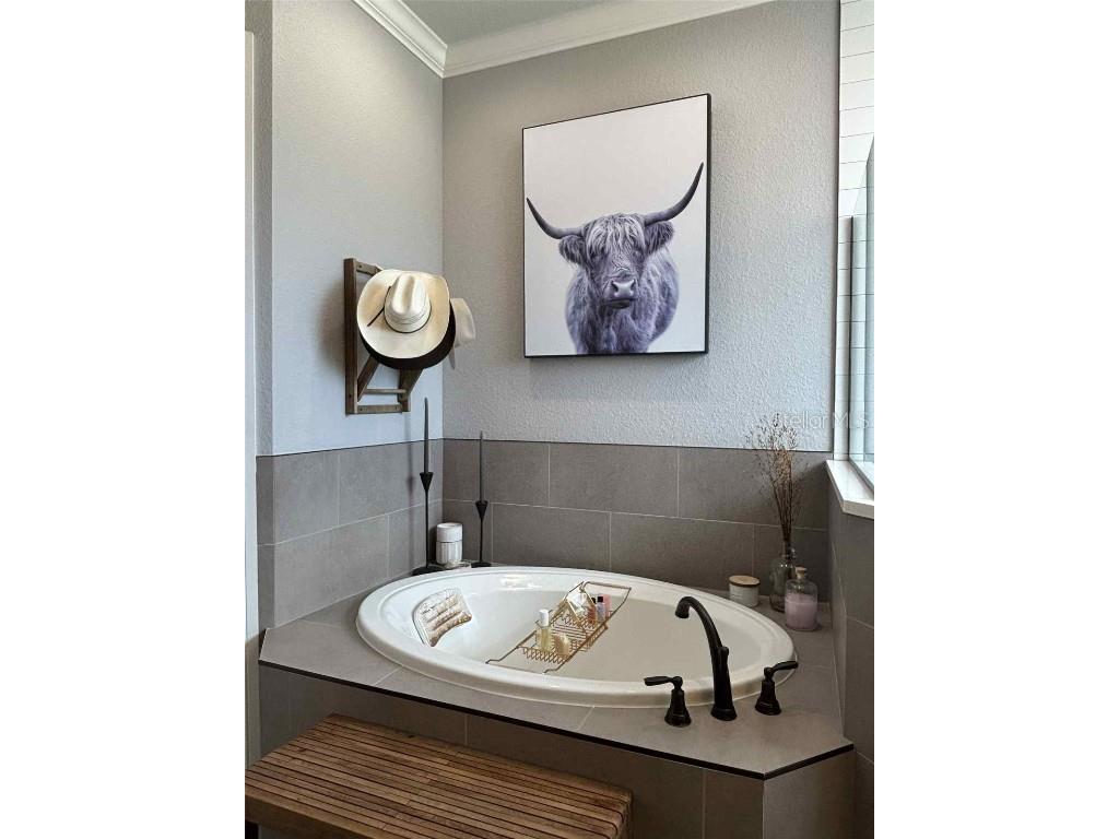 6438 Cox Road Bartow FL 33830 L4956729 image32