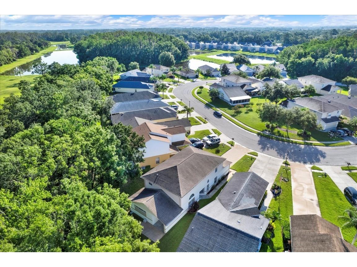 6439 Gentle Ben Circle Wesley Chapel FL 33544 TB8398587 image31