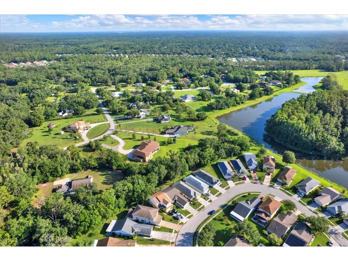 6439 Gentle Ben Circle Wesley Chapel FL 33544 TB8398587 image33